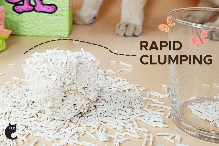 Rapid and hard clumping also implies exceptional odour control.